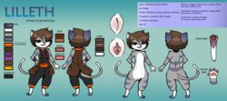 armband blue_body blue_fur brown_eyes brown_hair clitoris clothing digitigrade dipstick_tail domestic_cat duo english_text felid feline felis female fur genitals grey_body grey_fur hair hi_res jacket jumpsuit kazoko_(artist) looking_at_viewer mammal model_sheet multicolored_tail nipples no_humans pawpads paws pink_nose pussy pussy_blush semi-anthro simple_background smile solo spread_pussy spreading striped_body stripes text topwear whiskers