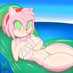 1:1 absurd_res amy_rose anthro bikini breasts bubjones clothing eulipotyphlan female genitals hedgehog hi_res mammal nipples pussy solo sonic_(series) sonic_the_hedgehog_(series) swimwear translucent translucent_clothing water