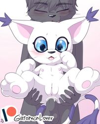 anal anal_sex anus ass balls blue_eyes blush bodily_fluids cum cum_in_ass cum_inside digimon digimon_(species) domestic_cat erection fangs felid feline felis female flat_chested fur gatomon gatomonlover genital_fluids genitals grey_body grey_fur hair male male_penetrating mammal nipples nude open_mouth patreon pawpads penetration penis pink_inner_ear pink_pawpads pussy sex smile tongue white_body white_fur