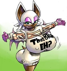 1girls bat_wings big_breasts dark-skinned_female dark_skin goudadunn hi_res highres huge_breasts large_breasts nipple_bulge rouge_the_bat solo sonic_(series) sweater