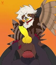 absurd_res anal anal_penetration animal_genitalia animal_penis anthro anus arm_warmers armpit_fetish armpit_play armwear avian balls beak big_balls big_penis bird butt canine_genitalia canine_penis ceilo_(wafflezcol) claws clothing collar cowgirl_position cutefckngbunny duo erection feathers femboy food food_creature from_front_position generation_5_pokemon genitals hand_on_butt hand_on_hip hand_on_leg hand_on_thigh hi_res hung_bottom hung_femboy knot knotted_penis legwear licking licking_lips looking_down lying male male/male male_penetrated male_penetrating male_penetrating_male multicolored_penis muscular nintendo on_back on_bottom on_top owl penetration penile penile_penetration penis penis_in_ass penis_tip pokemon pokemon_(species) pulsatrix sex sheath spectacled_owl spread_butt spreading tail thigh_highs tongue tongue_out transformation true_owl yellow_penis zoroark
