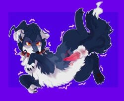 2026 animal_genitalia balls canid canine claws collar countershade_snout countershade_torso countershading covering covering_mouth crossvallia eyebrows feral fingerless_(marking) fluffy fluffy_tail fox fur genitals geometric_background grey_body grey_fur hair hi_res knot knotted_penis male mammal motion_lines pawpads paws penis pivoted_ears purple_background red_collar sheath simple_background snout solo spiked_collar spikes tail yellow_eyes