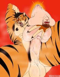 abdominal_bulge absurd_res anal anal_penetration anthro armpit_hair balls belly_stretch big_butt big_penis black_hair black_nipples body_hair brown_hair butt depictionexpress digital_drawing_(artwork) digital_media_(artwork) facial_hair felid fur genitals hair hand_behind_head hi_res human human_on_anthro humanoid_genitalia humanoid_hands humanoid_penis interspecies looking_pleasured lubed lubed_sex_toy male male/male mammal markings masturbation multicolored_body multicolored_fur mustache nipples pantherine pattern_fur penetrable_sex_toy penetration penis pubes saggy_balls sergant sex_toy simple_background solo striped_body striped_markings stripes tiger toy translucent translucent_body vein veiny_penis wet wet_penis x-ray_view