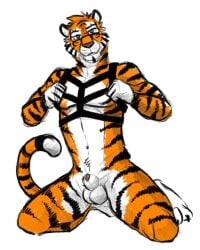 animal_genitalia anthro athletic athletic_anthro athletic_male balls black_claws black_harness black_stripes blue_eyes claws eyewear facial_markings felid front_view fur genitals glasses harness head_markings head_tuft hi_res hufnaar kneeling looking_at_viewer male male_anthro mammal markings navel nude pantherine penis penis_tip rectangular_glasses sheath simple_background solo striped_arms striped_body striped_face striped_fur striped_legs striped_markings striped_tail stripes tail tail_markings tiger toe_claws tuft white_background white_balls white_sheath