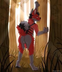 absurd_res anthro anus backsack balls butt canid canine canis fox fur genitals grass grey_body grey_fur hi_res humanoid_genitalia humanoid_penis leaning looking_at_viewer looking_back male mammal multicolored_body multicolored_fur outside pawpads paws penis perineum plant red_body red_eyes red_fur rookspirit solo standing stripes tail tree wolf