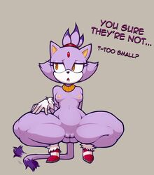 blaze the cat from sega by freepancakes