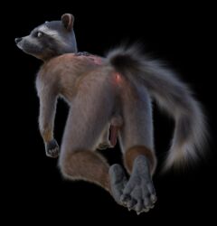 1boy 3d absurd_res anthro anus ass balls disney fur genitals guardians_of_the_galaxy hi_res looking_back male male/male male_only mammal marvel nude penis procyonid raccoon rear_view rocket_raccoon rockyrcoon solo