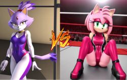 ai_generated amy_rose blaze_the_cat condorenox7 furry hedgehog sonic_(series) wrestling