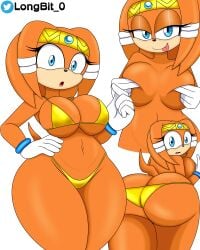 breasts breasts_out bubble_butt longbit_0 looking_back sonic_(series) sonic_the_hedgehog_(series) tagme tikal_the_echidna yellow_bikini