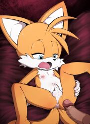 2boys 2males anthro anthro_penetrated before_sex cub fox human_on_anthro male_cub male_only males_only pubes size_difference small_penis sonic_(series) tails tails_the_fox younger younger_male