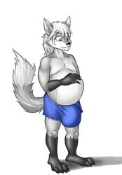 anthro belly belly_rub big_belly bulge canid canine canis fur green_eyes hand_on_stomach ian_the_wolf male male_only male_pregnancy malezor mammal pregnant slightly_chubby solo solo_male suibelly white_body white_fur wolf