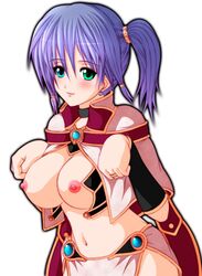 breasts breasts_out green_eyes purple_hair ragnarok_online sage_(ragnarok_online)