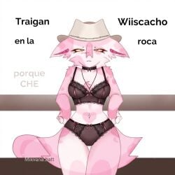 ai ai_edit belly_button bottomwear bra cat cowgirl cowgirl_hat curvy_figure female female_only furry jean_shorts kit_community lingerie midriff midriff_baring_shirt mikyana mikyana.batt suggestive topwear