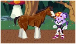 beastiality bestiality blaze_the_cat clapping_cheeks cowgirl_position impregnation nick8000 project_x_love_potion_disaster sega sonic_(series) wild_horse_(project_x) zoophilia