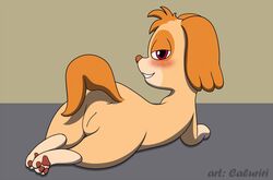 anus bird_dog blush caluriri canid canine canis cocker_spaniel domestic_dog female feral genitals hunting_dog looking_at_viewer mammal paw_patrol pink_eyes pussy simple_background simple_shading skye_(paw_patrol) solo spaniel