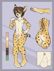 2020 3:4 4_toes 5_fingers acino_(artist) anthro brown_hair claws digital_media_(artwork) felid feline fingers fur green_eyes hair hi_res male mammal model_sheet pawpads serval solo solo_male spots spotted_body spotted_fur toe_claws toes