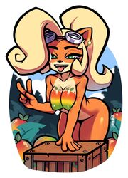 coco bandicoot from activision by gris9 (artist)