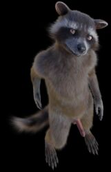 1boy 3d absurd_res anthro balls disney fur genitals guardians_of_the_galaxy hi_res male male/male male_only mammal marvel nude penis procyonid raccoon rocket_raccoon rockyrcoon solo