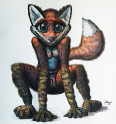 anthro baley belly big_ears big_eyes big_feet blue_clothing blue_eyes blue_swimwear breasts brown_body brown_fur canid canine clothing crouching cute_expression cute_eyes cute_face eyelashes feet female fox fur genitals hi_res leaning leaning_forward mammal modestwold nightmare_fuel paws pussy red_body red_fox red_fur small_breasts smile solo swimwear tankini traditional_drawing_(artwork) traditional_media_(artwork) translucent white_belly x-ray