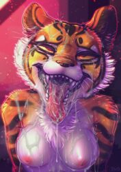master tigress from dreamworks by dimwitdog