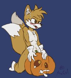 2_tails absurd_res ahe_gao anthro awful_lad blush bodily_fluids canid canine clothing cum cum_in_pumpkin cum_overflow duo food food_penetration footwear fox fruit fucking_pumpkin fur genital_fluids handwear hi_res looking_pleasured male male_only mammal mostly_nude multi_tail orange_body orange_fur penetration plant pumpkin smile solo_male sonic_(series) sonic_the_hedgehog_(series) tails