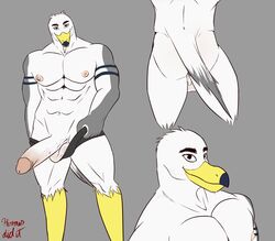 absurd_res anthro ass avian ayden_(brogulls) balls big_penis bird clothing erection genitals gull hermesdidit hi_res holding_object holding_underwear lari larid male male_only muscular muscular_anthro muscular_male nipples pecs penis solo underwear