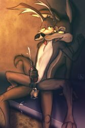 2014 anthro canine coyote cum erection fur furry furry_only gay half-closed_eyes happy looney_tunes male mammal nialus orgasm penis smile smooth_fur warner_brothers wile_e._coyote