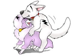 balto_(film) bolt_(character) bolt_(film) crossover disney dixie_(balto) feral feral_on_feral sex