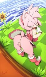 1girls amy_rose anthro anus argento ass ass_focus bedroom_eyes bent_over big_ass big_butt bimbo boots bottomless breasts bubble_ass bubble_butt butt_focus dat_ass dress dutch_angle eulipotyphlan female female_only footwear fur furry furry_only genitals green_eyes handwear hedgehog hi_res highres innie_pussy large_breasts looking_back mammal narrowed_eyes no_panties no_underwear outdoors partially_clothed pink_body pink_fur presenting presenting_anus presenting_hindquarters presenting_pussy pussy seductive smile solo solo_female sonic_(series) sonic_the_hedgehog_(series) tail thick_ass thick_thighs tongue tongue_out topwear upskirt water