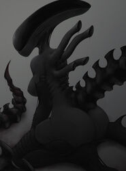 female xenomorph from alien (franchise) by impracticalart