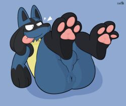 3_toes anthro anus ass backsack balls birdvian genitals hi_res lucario male male_only nintendo paws pokemon pokemon_(species) presenting simple_background solo solo_male toes tongue tongue_out video_games