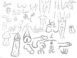 4:3 absurd_res ambiguous_gender anthro female feral genitals hi_res human humanoid male mammal monochrome penis scoctch signature sketch straight taur