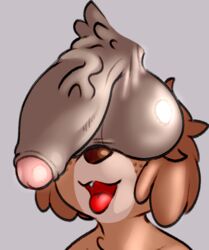 ahe_gao animal_crossing anthro ball_tuft balls balls_on_face canid canine canis digby_(animal_crossing) domestic_dog duo frumples genitals humanoid_genitalia humanoid_penis looking_pleasured male male/male mammal meme nintendo open_mouth penis shih_tzu tea_bagging these_aren't_my_glasses tongue tongue_out toy_dog tuft vein veiny_penis video_games