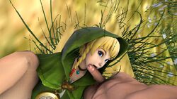 clothing fellatio hyrule_warriors linkle nintendo oral tagme the_legend_of_zelda