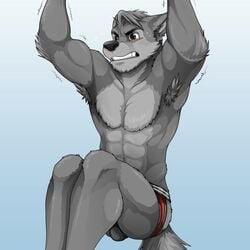 1:1 abs anthro armpit_hair balls biceps blush bodily_fluids body_hair brown_eyes canid canine canis cooper_estevez exercise fur genitals grey_body grey_fur jackaloo jock male male_only mammal pecs solo sweat wolf