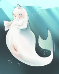 2024 belly black_nose blue_background blue_eyes blush breasts bubble dewgong female feral fur generation_1_pokemon genitals gradient_background hi_res horn looking_at_viewer nintendo plump_labia pokemon pokemon_(species) presenting presenting_pussy pussy simple_background slightly_chubby solo squaresville tail teeth underwater water white_body white_fur white_horn white_tail