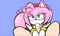 1girls 2017 amy_rose anthro duplichance faceless_character faceless_human faceless_male fellatio female green_eyes hedgehog human human_on_anthro interspecies oral_sex penis pink_fur pink_hair sega sonic_(series)