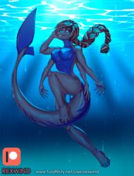 1futa anthro balls blue_body breasts fish futanari genitals grey_body gynomorph hair hi_res intersex marine multi_arm multi_limb nipples non-mammal_breasts nude penis rexwind shark smile solo solo_futa text underwater url water