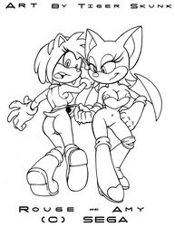 amy_rose rouge_the_bat sega sonic_(series) tiger_skunk