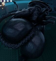 1girl 1girls 3d 3d_(artwork) 3d_artwork 3d_background 3d_model alien alien_(franchise) alien_girl ass ass_bigger_than_head ass_focus bent_over big_ass big_butt black-skinned_female black_skin black_skinned_female butt completely_nude completely_nude_female dark-skinned_female dark_skin dark_skinned_female dead_by_daylight digital_drawing_(artwork) digital_media_(artwork) dumptruck_ass dumptruck_butt fat_ass fat_butt female female_only female_xenomorph femomorph huge_ass huge_butt large_ass large_butt looking_at_viewer looking_back looking_back_at_viewer massive_ass massive_butt mature_female monster monster_girl nude nude_female solo solo_female tagme tail vensaku voluptuous wet wet_ass wet_body wet_butt wet_skin xenomorph