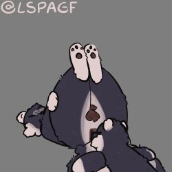 1:1 absurd_res anthro anus balls darkened_anus darkened_balls darkened_genitalia darkened_penis duo face_on_butt fluffy fluffy_tail genitals grey_background hi_res holding_leg holding_thigh lspagf lying male mammal mephitid multicolored_body nose_on_butt on_back on_front pawpads paws penis raised_paw simple_background skunk skunk_(lspagf) tail two_tone_body