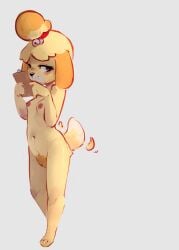 isabelle (animal crossing) from animal crossing by elijah-draws