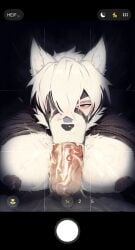 anthro bangs big_muscles big_pecs black_nose blowjob_face blush bodily_fluids boner camera_view canid canine canis claws clothed clothing cum cum_in_mouth cum_inside cum_on_face cum_on_penis duo erection fellatio fur gay genital_fluids genitals grey_nipples hair hands_on_another's_hips hi_res humanoid humanoid_genitalia looking_at_viewer male male/male male_only mammal mask mihoyo mihoyo_technology_(shanghai)_co._ltd. multicolored_body multicolored_ears multicolored_fur multicolored_hair muscular nipples oral pecjob pecs penetration penile penile_penetration penis pubes raining raised_clothing red_eyes sex steam steaming_body sucking thiren vein veiny_penis vo7gu46xduh36 von_lycaon wearing_mask wet wet_body white_body white_fur white_hair wolf yaoi zenless_zone_zero