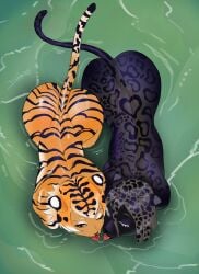 absurd_res anthro big_butt black_body black_fur black_nose black_spots black_stripes bodily_fluids brown_nose butt drakinn_art duo eyelashes felid female fur green_eyes grey_hair hair hi_res high-angle_view jaguar looking_at_viewer mammal one_eye_closed orange_body orange_eyes orange_fur orange_hair pantherine partially_submerged saliva saliva_string spots stripes tiger tongue tongue_out wide_hips
