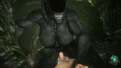 1boy 1boy1girl 1girls 1monster 3d alien alien_(franchise) alien_girl animated athletic_female big_ass big_breasts big_penis cowgirl_position deaddym defeated_hero female_xenomorph femdom hd horror human human_penetrating light-skinned_male monster monster_girl muscular_female nude nude_male pussy pussy_juice raped_by_monster sfm short_video shorter_than_10_seconds sound source_filmmaker tagme video xenomorph