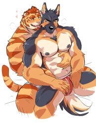 2boys abs absurdres animal_ears another_eidos-r bara barlitz_(another_eidos) blue_male_underwear blush boxers bulge clenched_teeth commentary_request corca_(another_eidos) dog_boy dog_ears dog_tail fangs furry furry_male gay gay_male hand_on_another's_stomach hand_on_another's_thigh heart highres koginoro male_focus male_underwear multiple_boys muscular muscular_male navel nipples open_mouth pectorals red_male_underwear sitting sitting_on_person smile sweat tail teeth tiger_boy tiger_ears tiger_stripes tiger_tail tongue tongue_out topless_male underwear yaoi