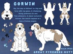 absurd_res anatomically_correct anatomically_correct_genitalia andromorph animal_genitalia animal_vulva anus balls black_balls black_vulva brown_body brown_fur canid canine canine_genitalia canine_vulva canis close-up corwin_(pantherwaltz) domestic_dog feral fluffy fur genitals gradient_background great_pyrenees hi_res intersex livestock_guardian_dog mammal model_sheet molosser mountain_dog multicolored_body multicolored_fur pantherwaltz pastoral_dog scar scrotoplasty simple_background sitting solo standing text trans_(lore) trans_man_(lore) vulva white_body white_fur