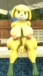 1girls 3d 3d_(artwork) animal_crossing anthro areolae barefoot big_breasts breasts completely_nude completely_nude_female daemont92 female female_only full_body isabelle_(animal_crossing) naked naked_female nipples nude nude_female pool poolside sitting sitting_on_poolside solo solo_female