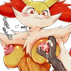 braixen from nintendo by cottontail