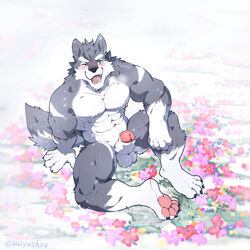 1boy 2019 4_fingers 4_toes abs anthro arm_on_leg baiyushou balls ballsack barefoot beefy blush body_hair canine erection flowers fluffy_tail foreskin furry green_eyes grey_fur hand_on_ground humanoid_penis male male_nipples male_only masculine muscles muscular_male one_eye_closed partially_retracted_foreskin pecs penis scrotum shaggy_fur smiling solo tagme testicles thick_penis thick_thighs uncut veiny_penis wink wolf